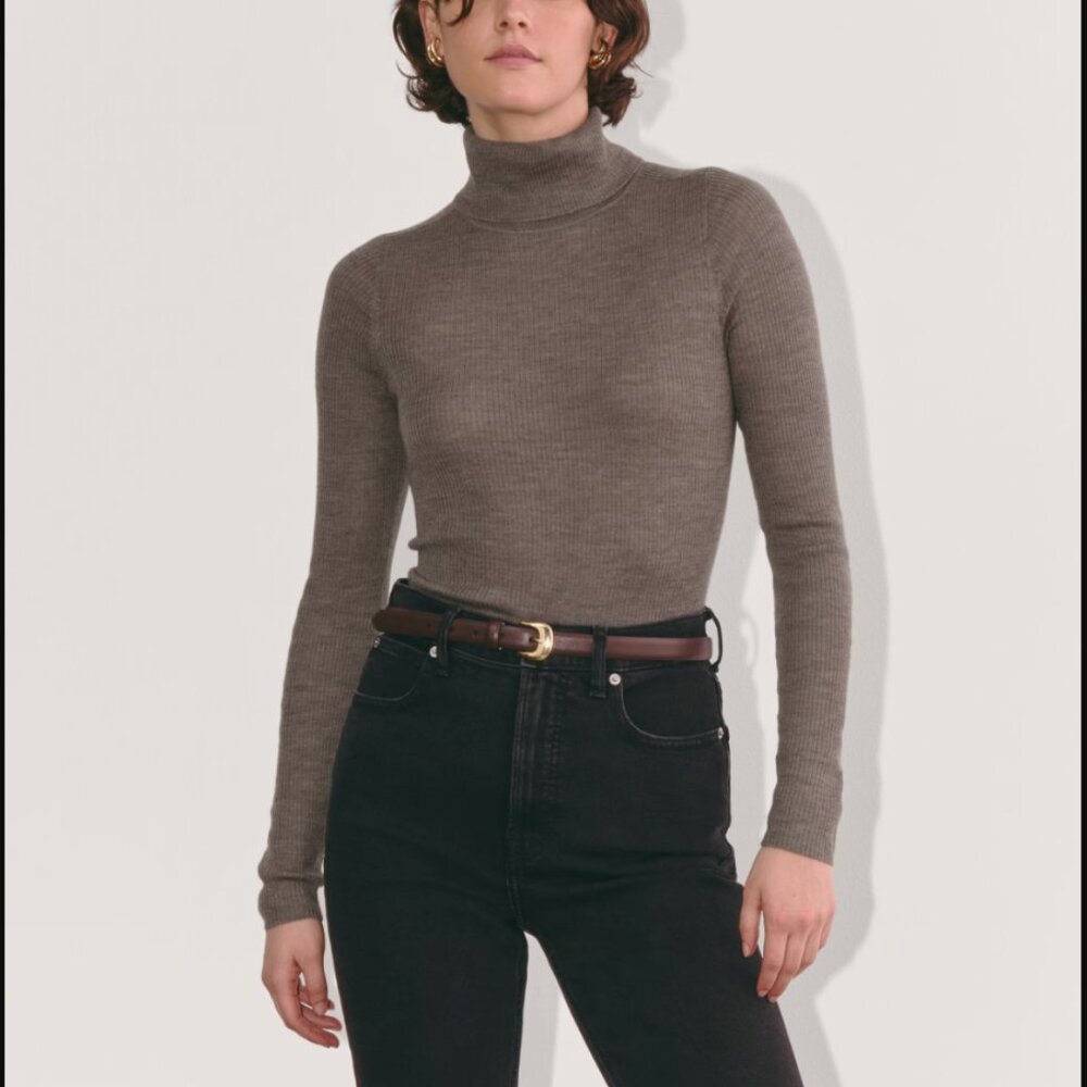 Everlane The Turtleneck in Ultrasoft Merino, heather cocoa, size small